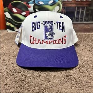 VINTAGE NCAA 1995 Big Ten CHAMPIONS SNAPBACK Wildcats ROSE BOWL Hat DEADSTOCK!!